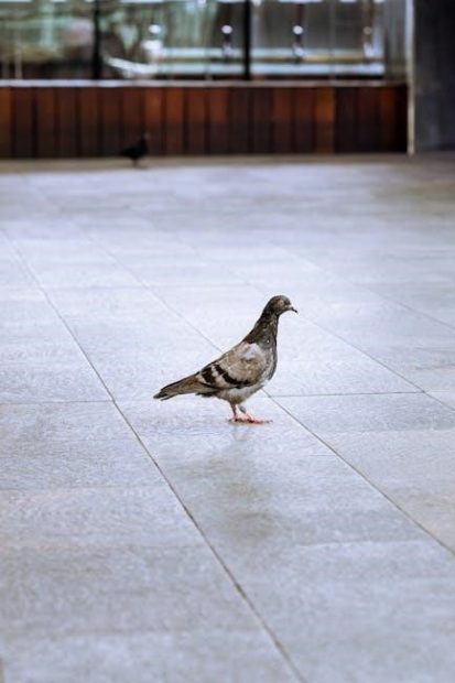 no grid survival projects pdf free download