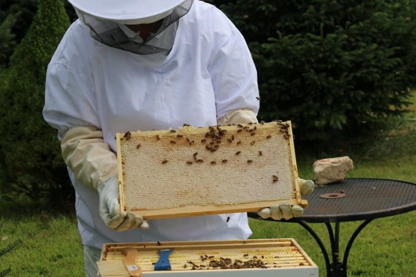 fieldwork and supervision for behavior analysts pdf