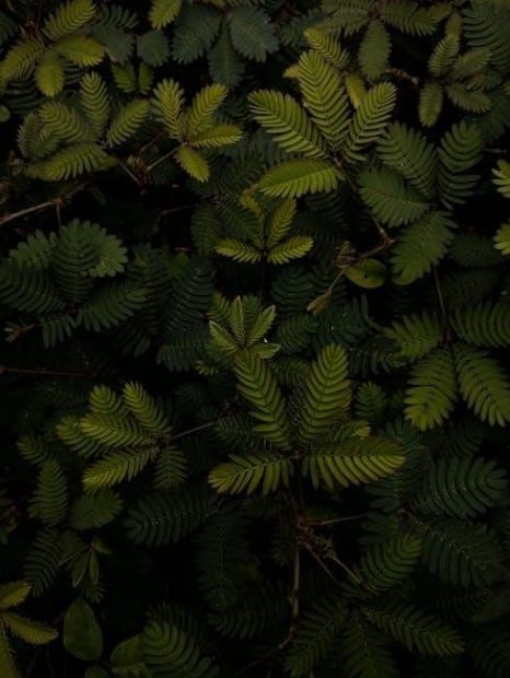 singer patchwork manual pdf free download