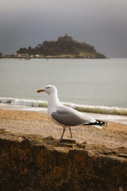 st michael the archangel novena pdf