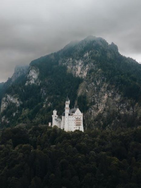 the fall by albert camus pdf