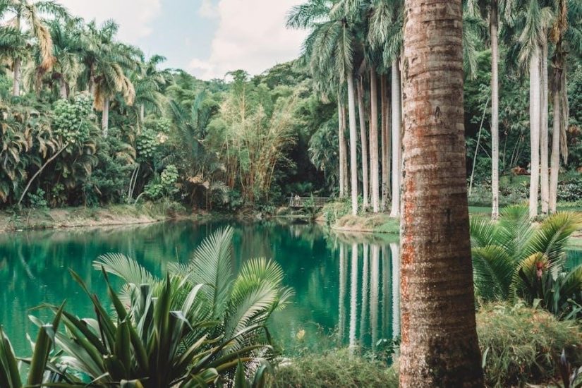 lego tranquil garden instructions