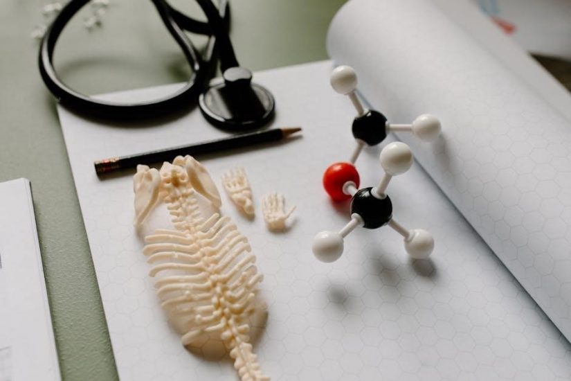 biology miller and levine textbook pdf