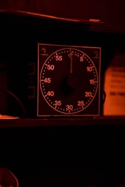 grasslin timer manual